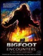 Bigfoot Encounters in the Pacific Northwest (2021) Tamil Dubbed
